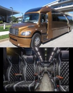 44 Passenger Luxury Mini Coach Atlanta